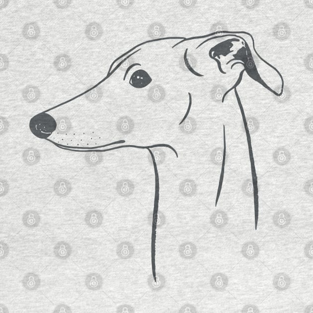 Italian Greyhound (Light Gray and Gray) by illucalliart